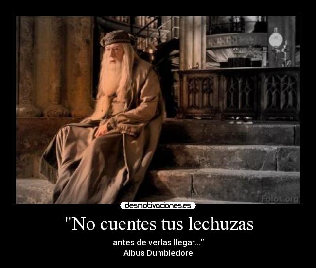 No cuentes tus lechuzas -