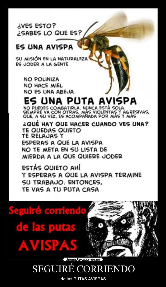 SEGUIRÉ CORRIENDO - de las PUTAS AVISPAS