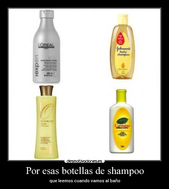 carteles shampoo bano desmotivaciones