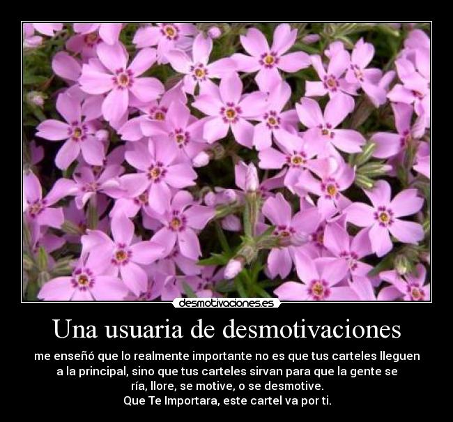 Una usuaria de desmotivaciones - me enseñó que lo realmente importante no es que tus carteles lleguen
a la principal, sino que tus carteles sirvan para que la gente se
ría, llore, se motive, o se desmotive.
Que Te Importara, este cartel va por ti.