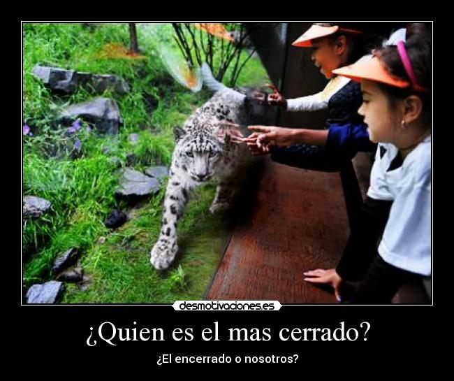 ¿Quien es el mas cerrado? - ¿El encerrado o nosotros?