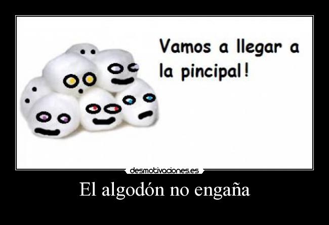 El algodón no engaña -