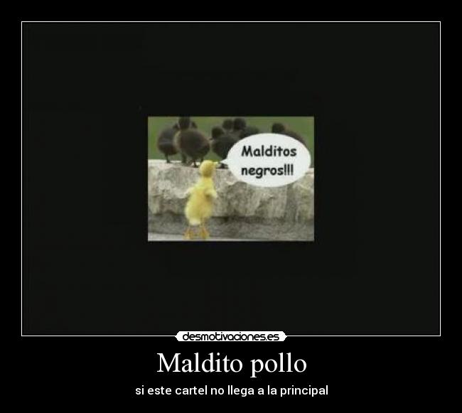 Maldito pollo - si este cartel no llega a la principal