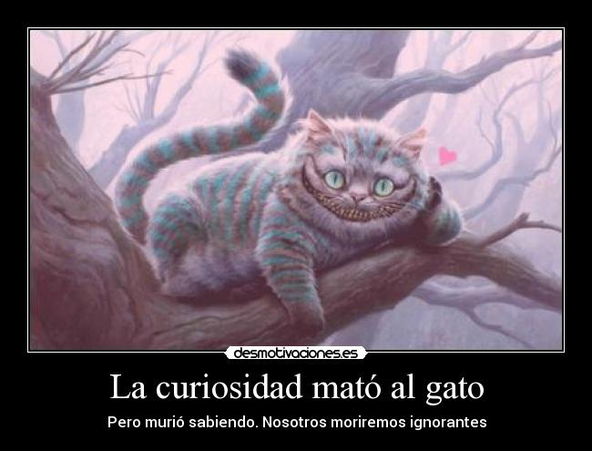 La curiosidad mató al gato -