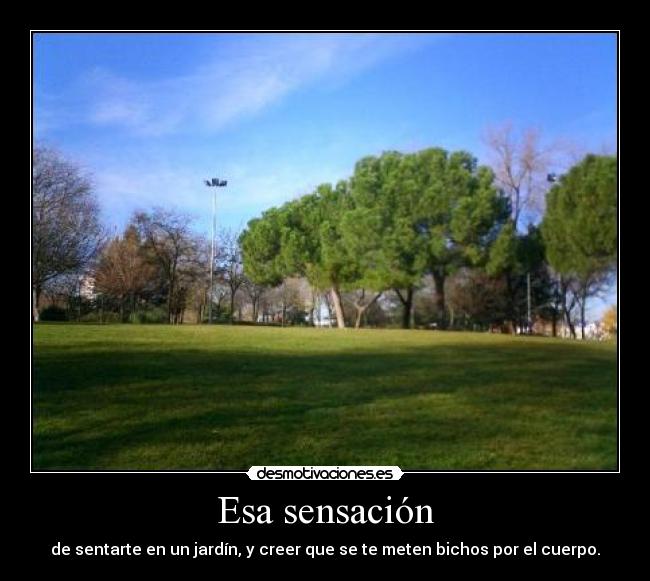 Esa sensación - de sentarte en un jardín, y creer que se te meten bichos por el cuerpo.