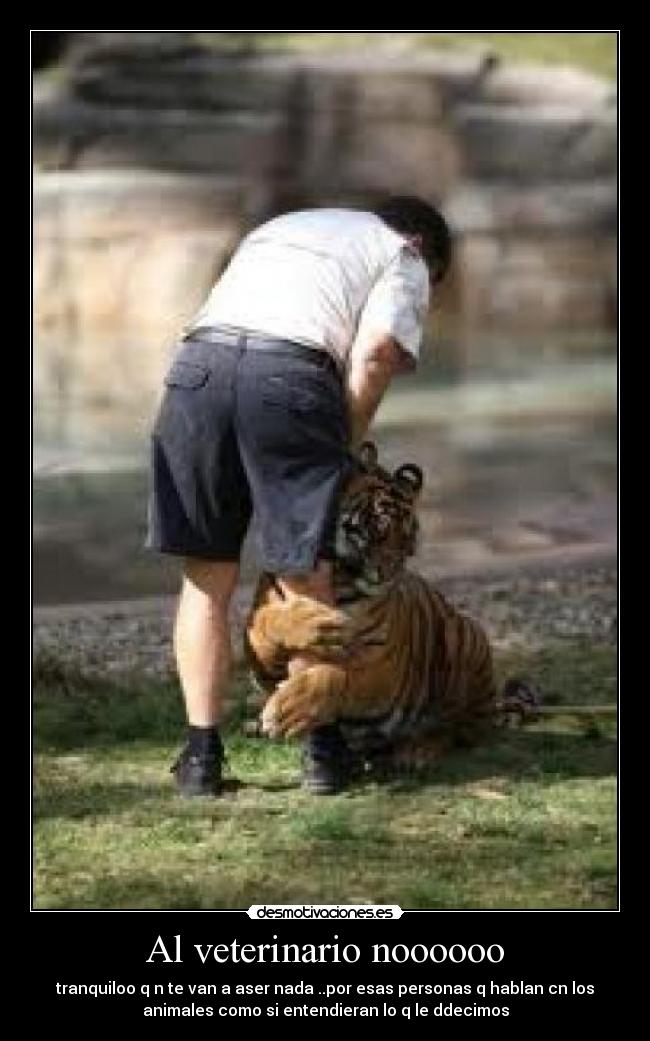 Al veterinario noooooo -