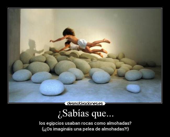 ¿Sabías que... - 