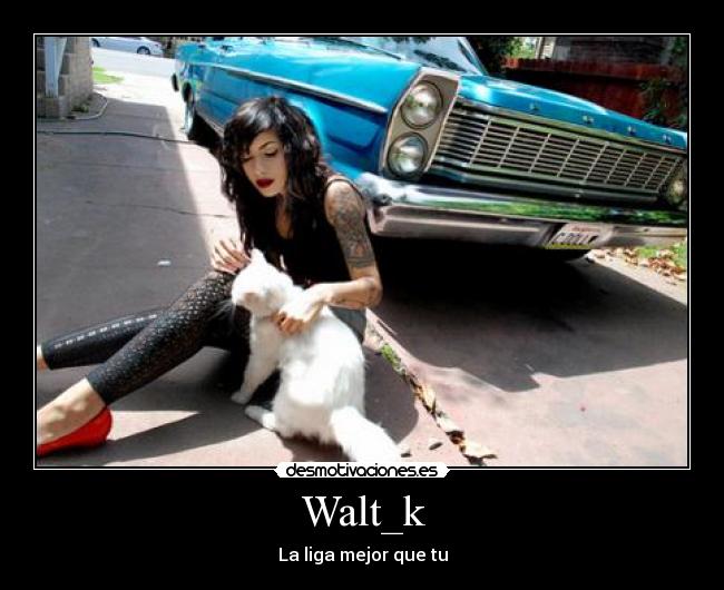 Walt_k - 