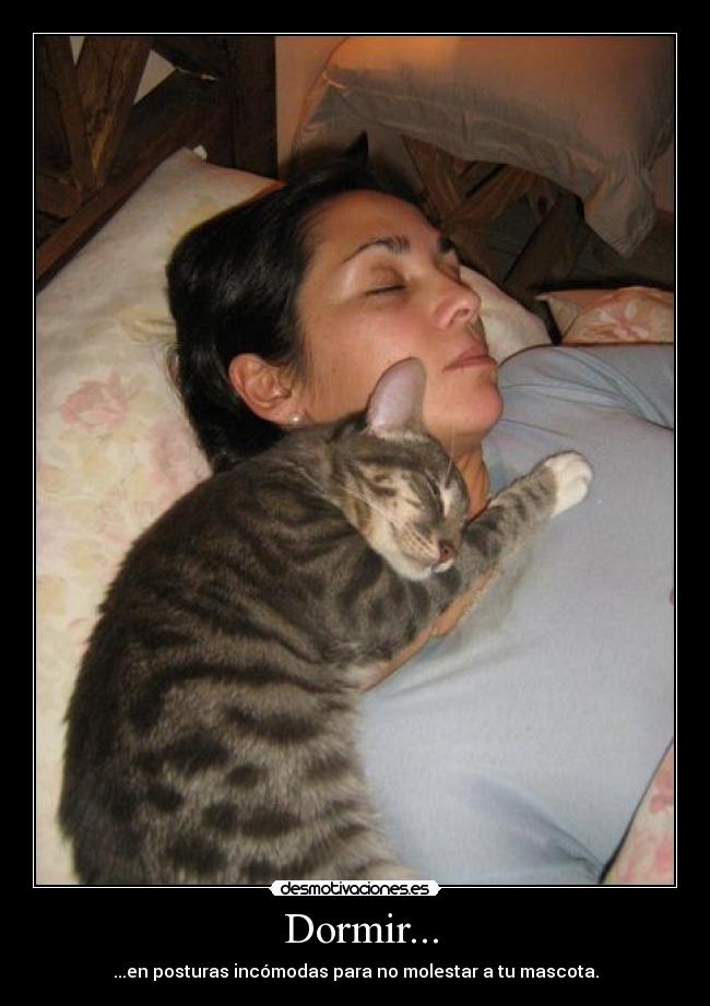 Dormir... - ...en posturas incómodas para no molestar a tu mascota.