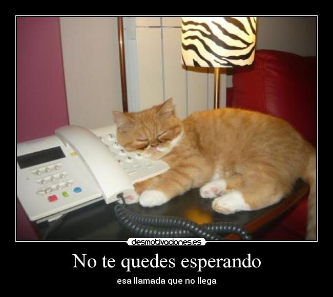 No te quedes esperando -