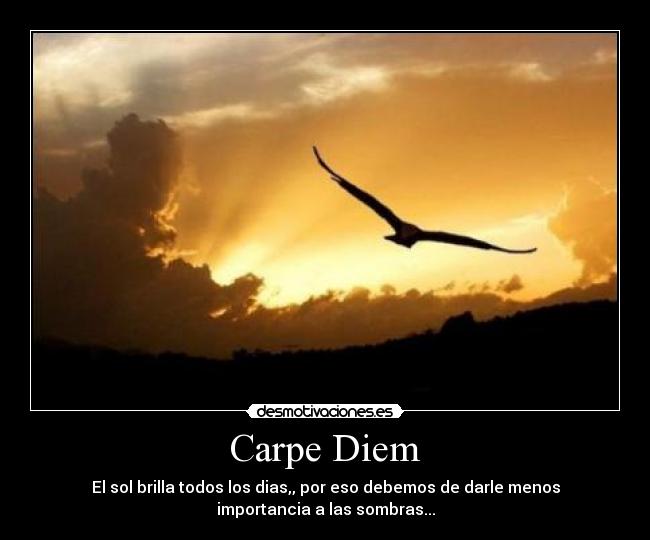 Carpe Diem - El sol brilla todos los dias,, por eso debemos de darle menos
importancia a las sombras...