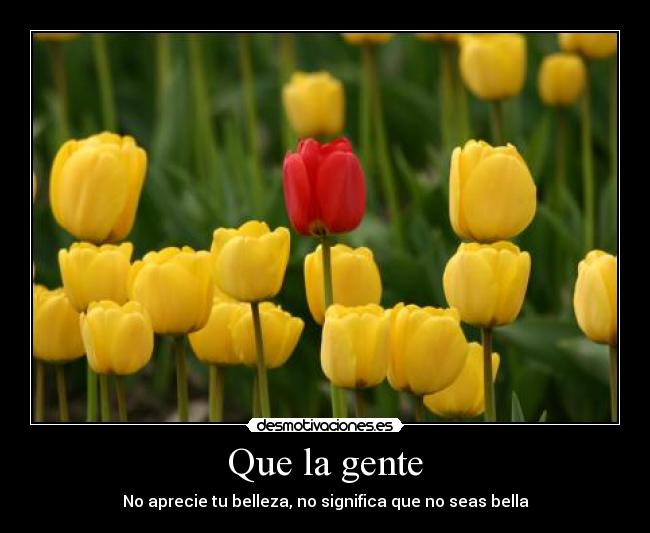 carteles belleza bella amapolas diferente desmotivaciones