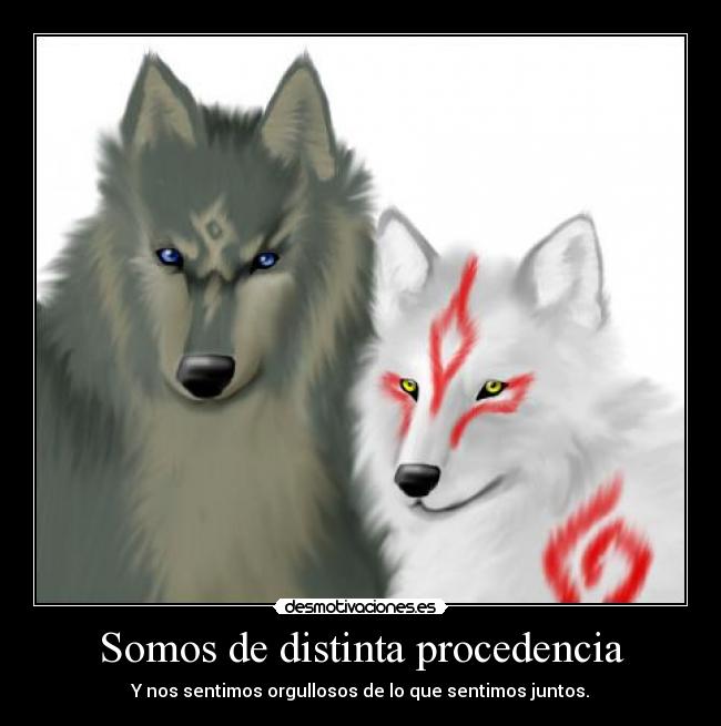 Somos de distinta procedencia - Y nos sentimos orgullosos de lo que sentimos juntos.