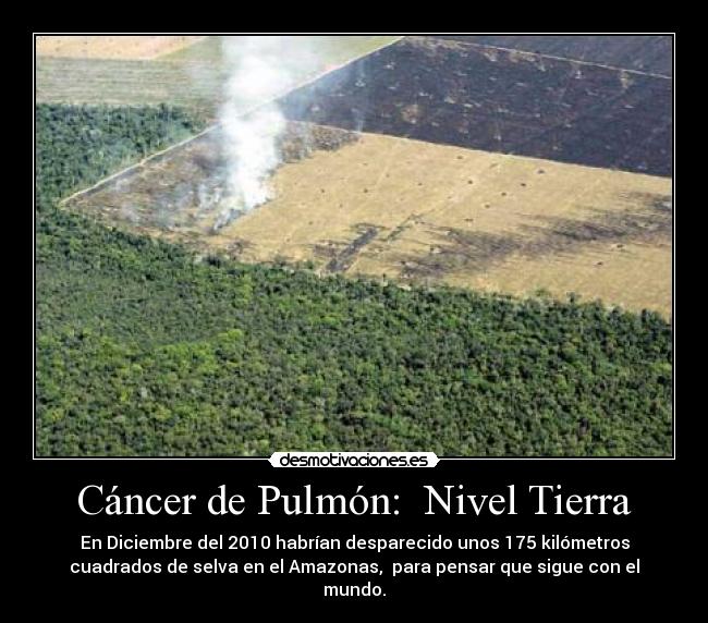 carteles cancer global desmotivaciones
