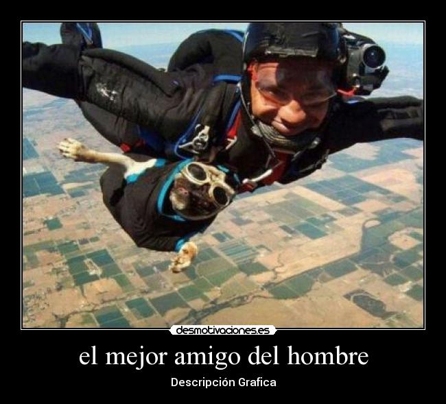 el mejor amigo del hombre -