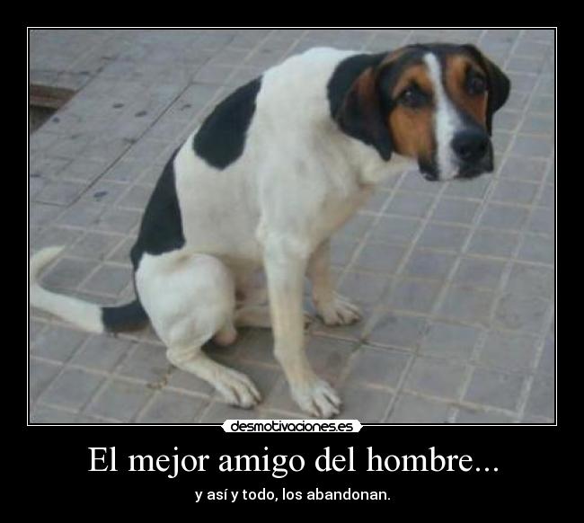 El mejor amigo del hombre... - 