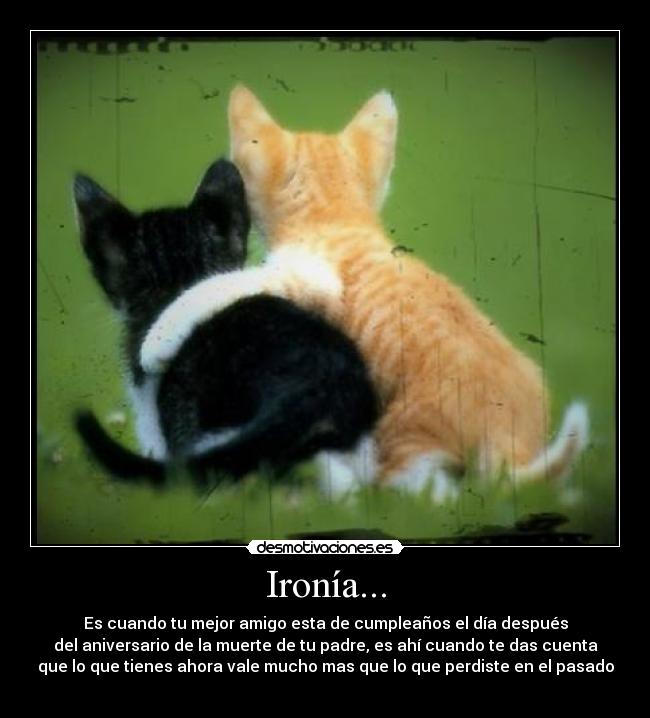 Ironía... -