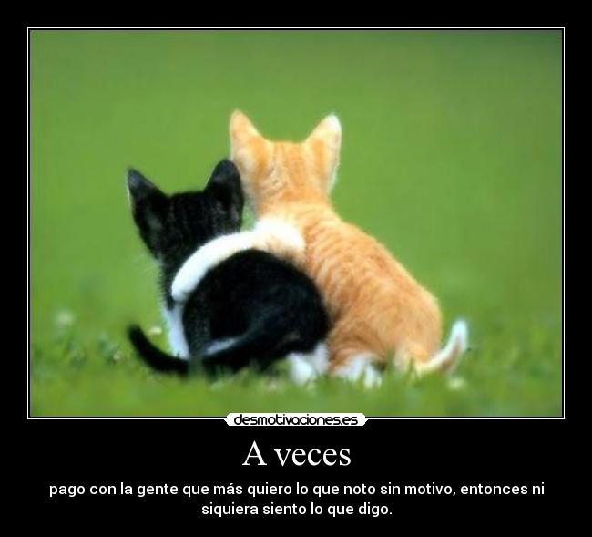 A veces - pago con la gente que más quiero lo que noto sin motivo, entonces ni
siquiera siento lo que digo.