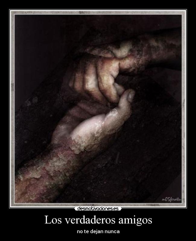 carteles amigos amigos juntos verdaderos desmotivaciones