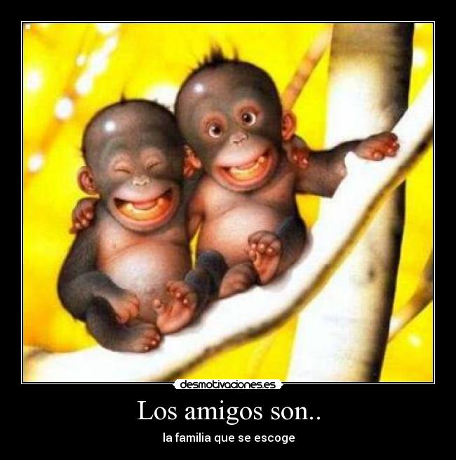 Los amigos son.. - 