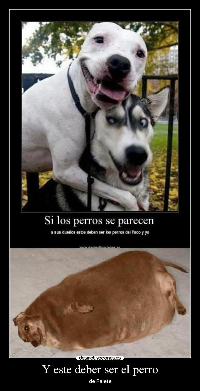 Y este deber ser el perro -