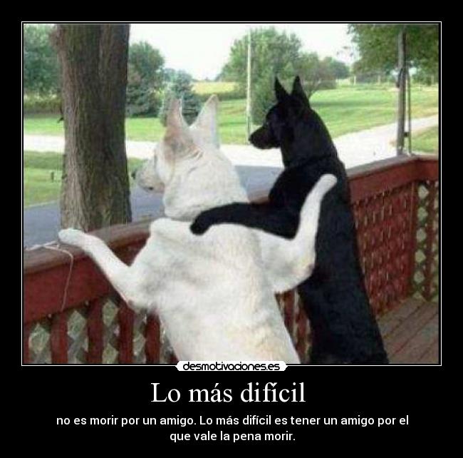 carteles jhm jkjk desmotivaciones