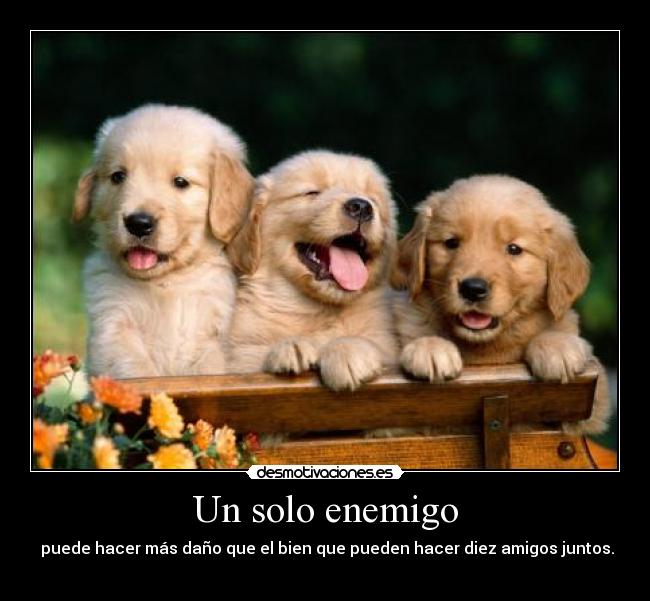 Un solo enemigo - puede hacer más daño que el bien que pueden hacer diez amigos juntos.