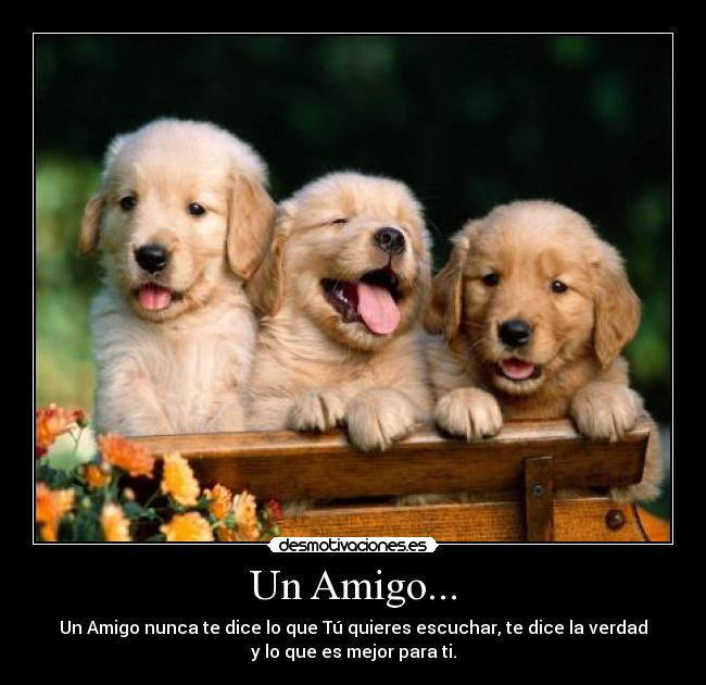 Un Amigo... - Un Amigo nunca te dice lo que Tú quieres escuchar, te dice la verdad
y lo que es mejor para ti.