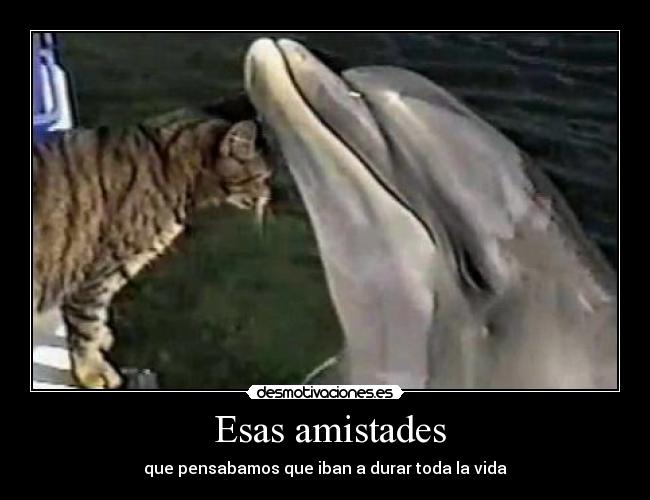 carteles staarlaura desmotivaciones