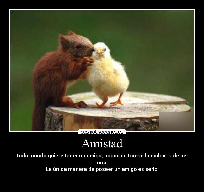 Amistad -