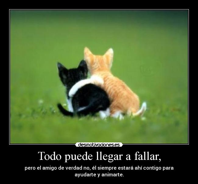 Todo puede llegar a fallar, - pero el amigo de verdad no, él siempre estará ahí contigo para ayudarte y animarte.