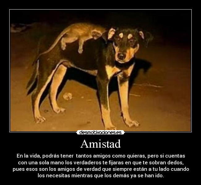 Amistad - En la vida, podrás tener  tantos amigos como quieras, pero si cuentas
con una sola mano los verdaderos te fijaras en que te sobran dedos,
pues esos son los amigos de verdad que siempre están a tu lado cuando
los necesitas mientras que los demás ya se han ido.