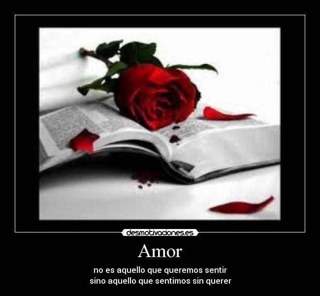 Amor - no es aquello que queremos sentir
sino aquello que sentimos sin querer