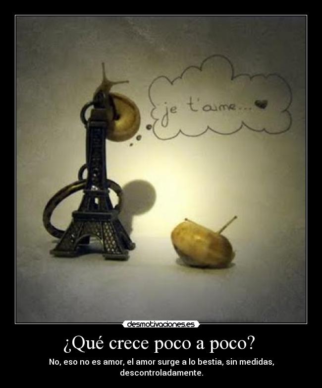 ¿Qué crece poco a poco? -