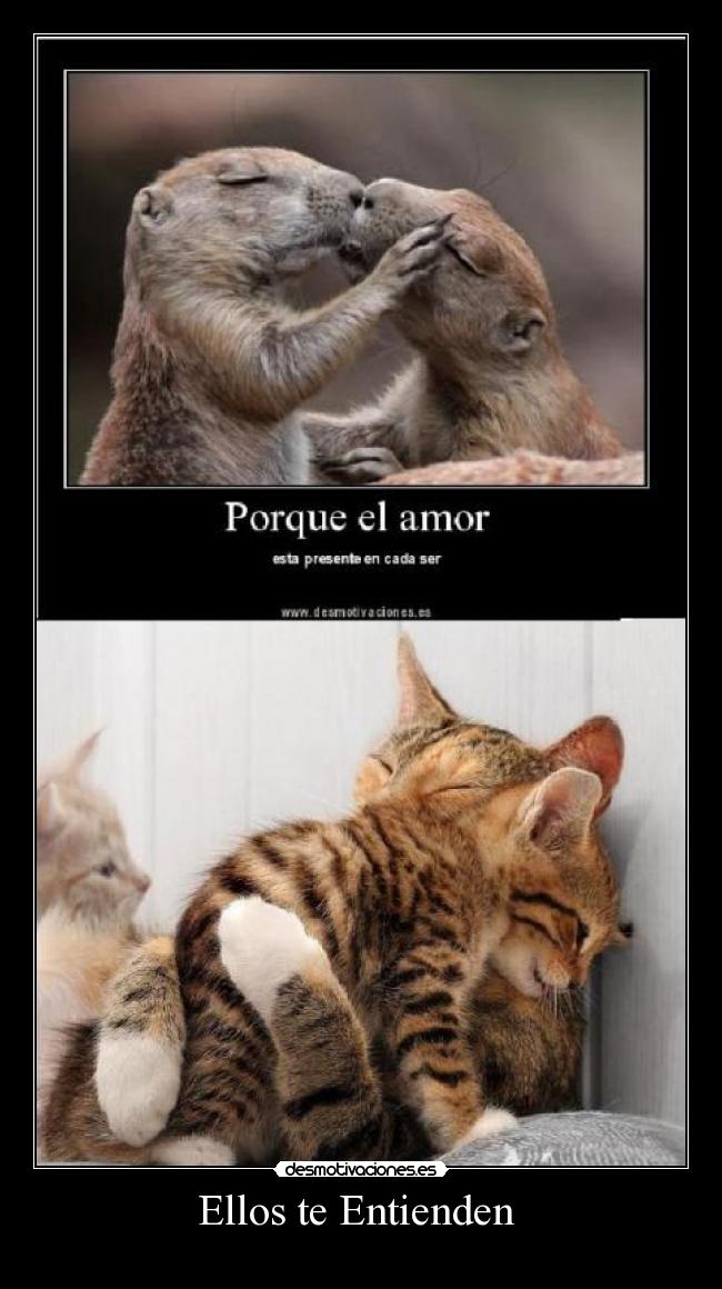 Ellos te Entienden -