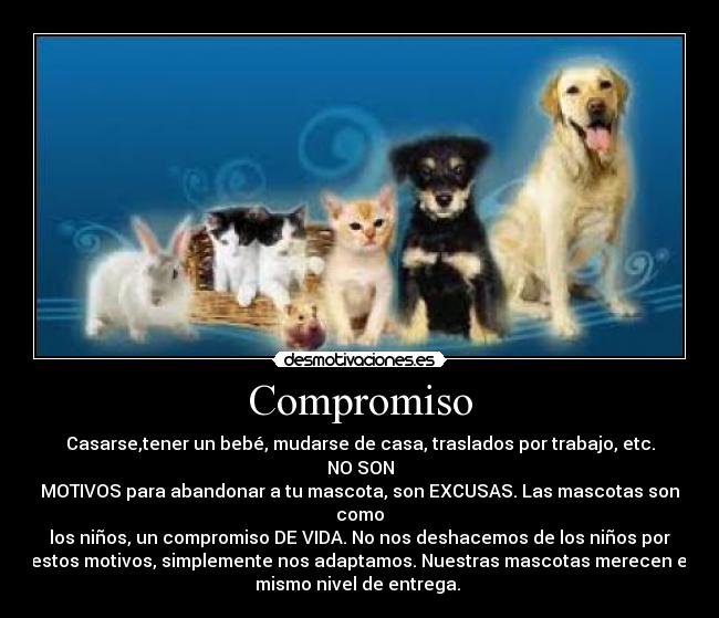Compromiso -