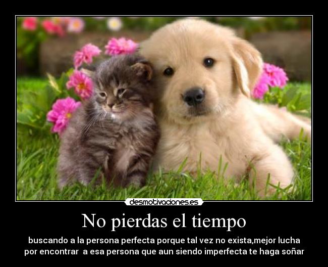No pierdas el tiempo - 