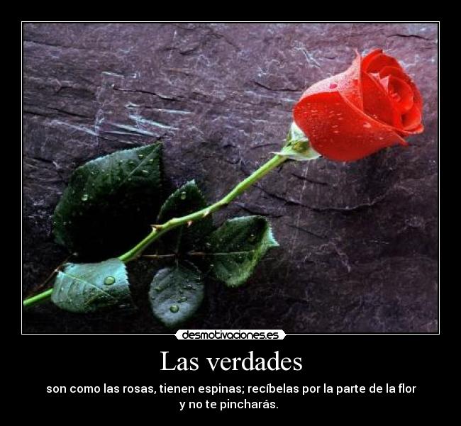 Las verdades - son como las rosas, tienen espinas; recíbelas por la parte de la flor
y no te pincharás.