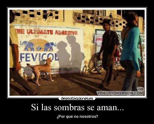 Si las sombras se aman... -