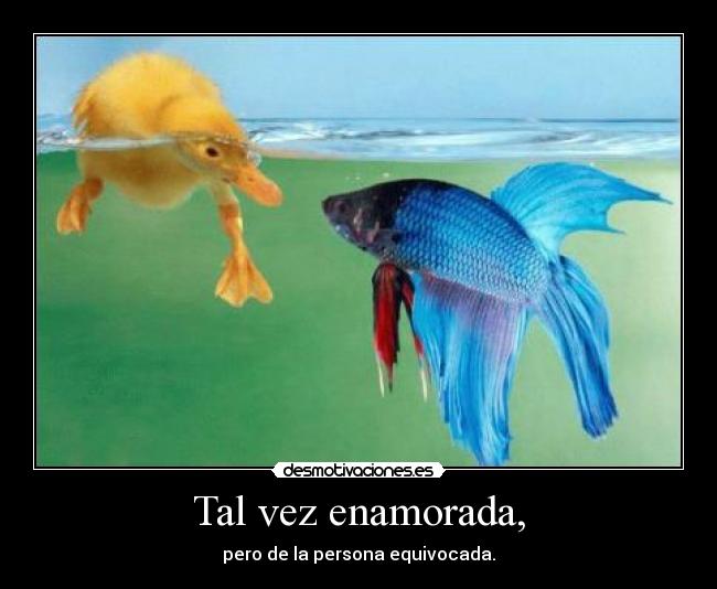 Tal vez enamorada, -