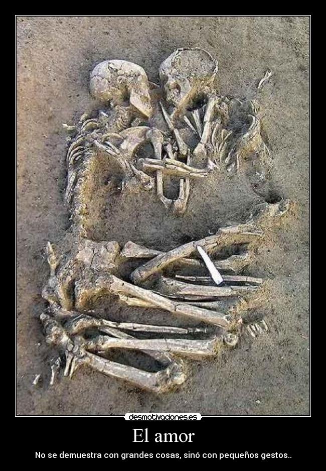 El amor -