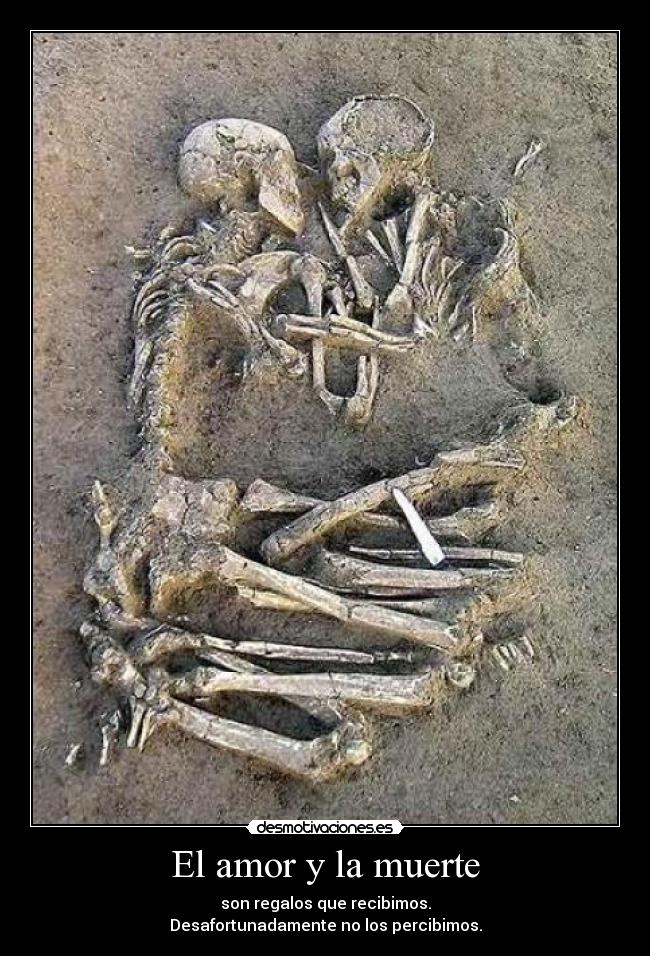 El amor y la muerte - son regalos que recibimos.
Desafortunadamente no los percibimos.