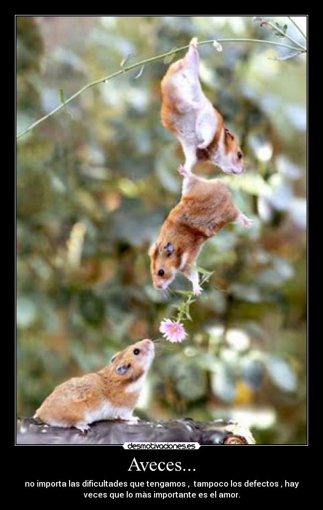 Aveces... - no importa las dificultades que tengamos , tampoco los defectos , hay
veces que lo màs importante es el amor.
