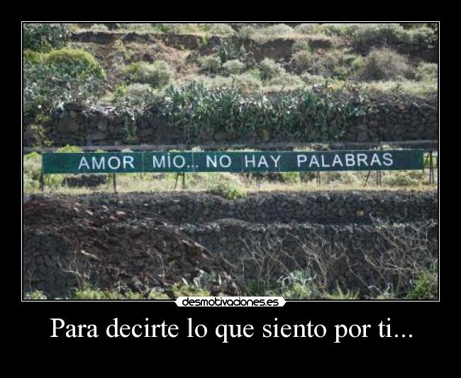 Para decirte lo que siento por ti... - 