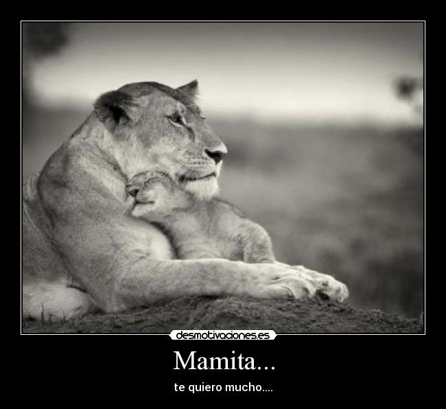 Mamita... - 