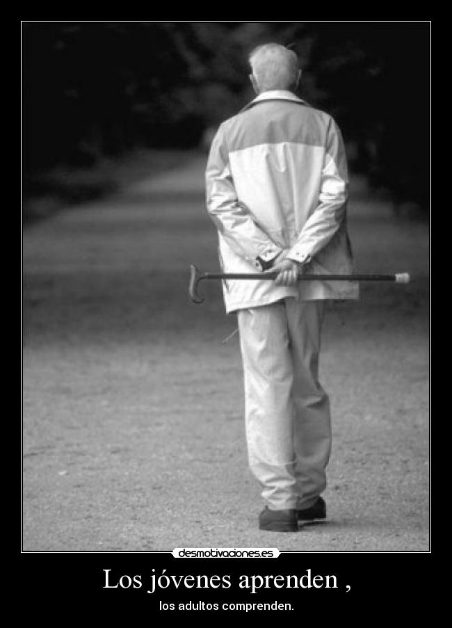Los jóvenes aprenden , - los adultos comprenden.