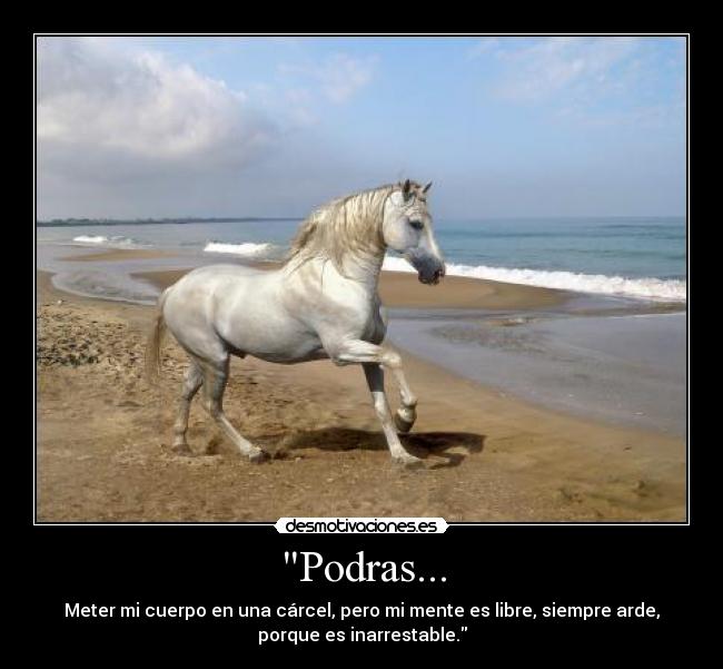 Podras... - Meter mi cuerpo en una cárcel, pero mi mente es libre, siempre arde,
porque es inarrestable.