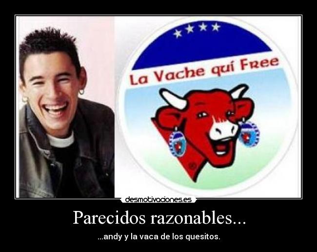 Parecidos razonables... - ...andy y la vaca de los quesitos.