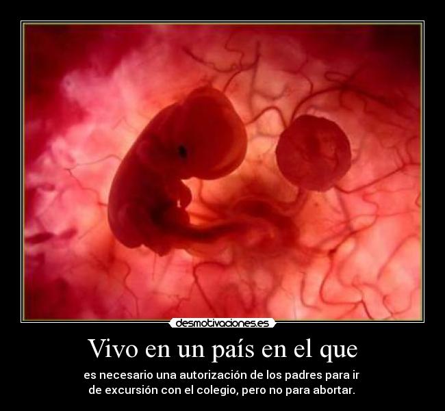Vivo en un país en el que -