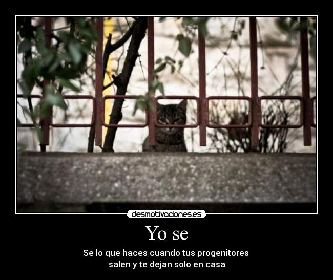 Yo se - Se lo que haces cuando tus progenitores
salen y te dejan solo en casa